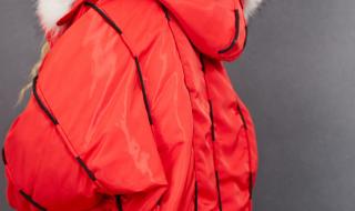 妖精的口袋 妖精的口袋